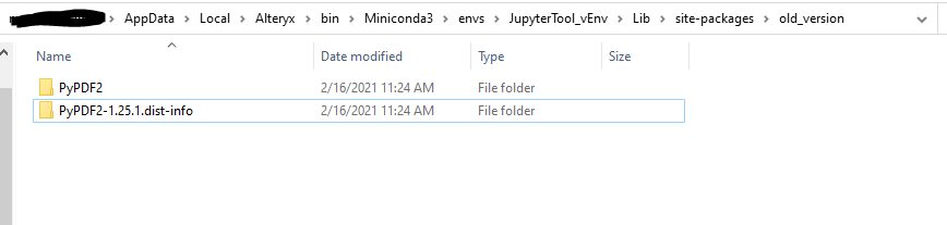 Have different Python Module versions for different workflows