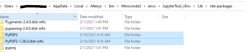 Have different Python Module versions for different workflows