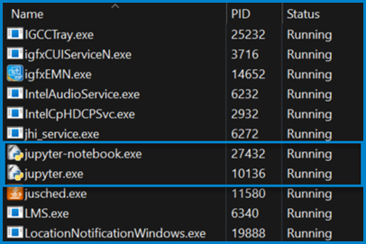 This image shows the jupyter-notebook.exe and jupyter.exe processes running in the Task Manager's Details tab, which is expected.